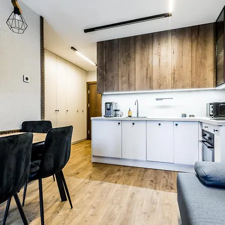 Makuszynskiego Lux Apartment *